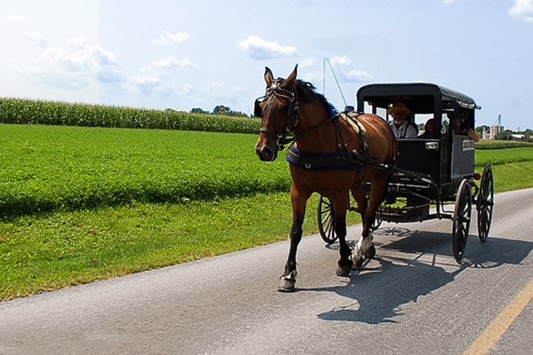 Dutch Country & Gettysburg