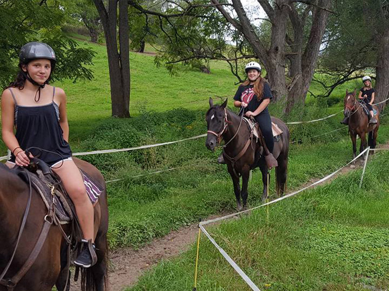 Nittany Mountain Trail Rides