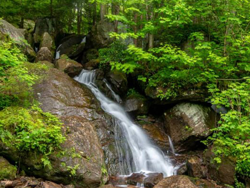 Bent Run Waterfall