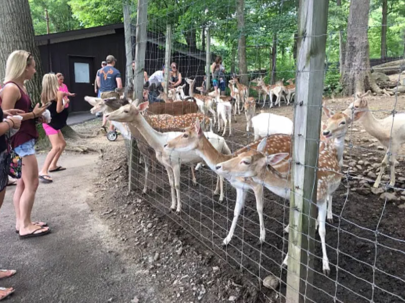 Pymatuning Deer Park