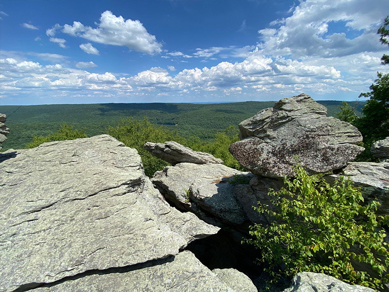 Michaux State Forest- Chimney Rocks Trail