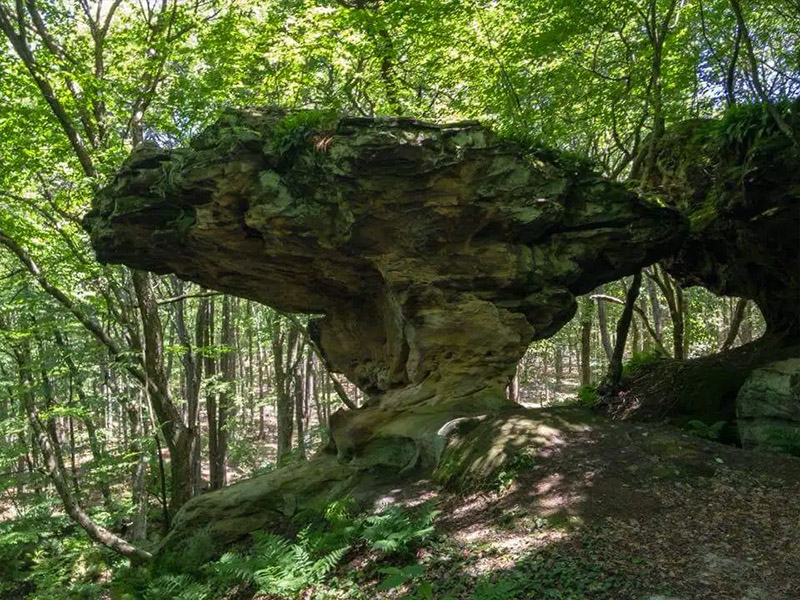 Umbrella Rock Trail