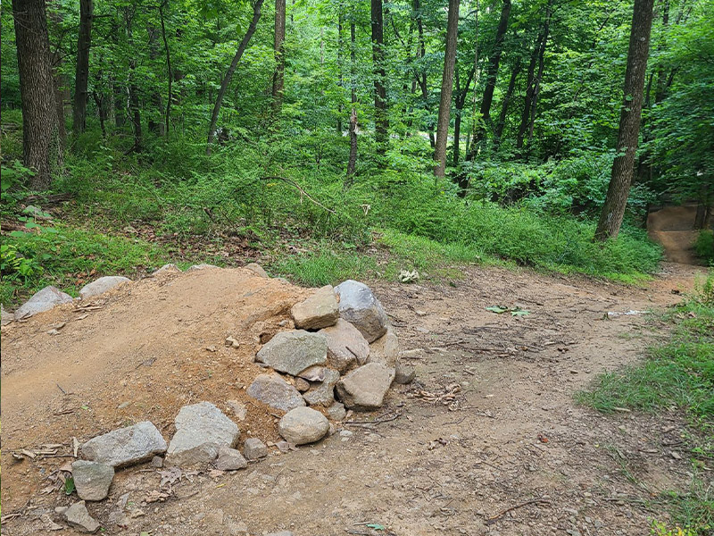 Mount Penn Preserve- Tower Trail