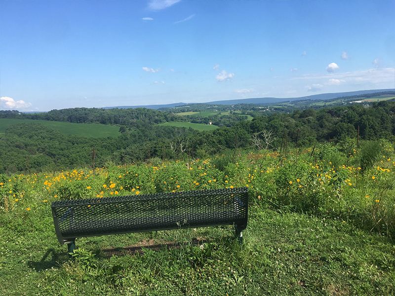 Trexler Nature Preserve - Trexler Border Trail