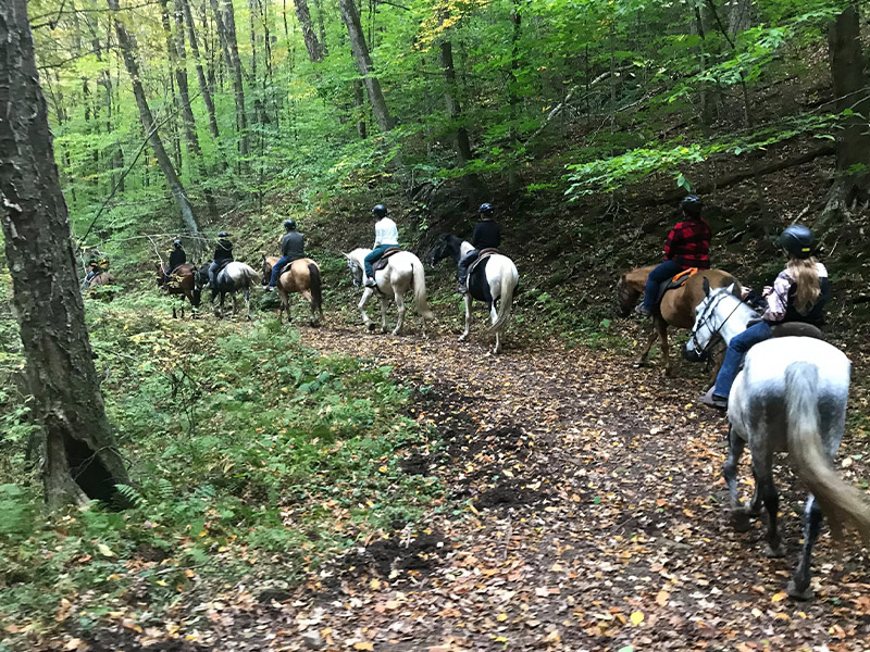 Summit Trail Rides