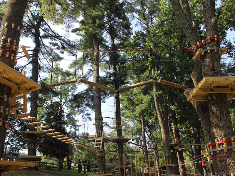 Treetop Adventures