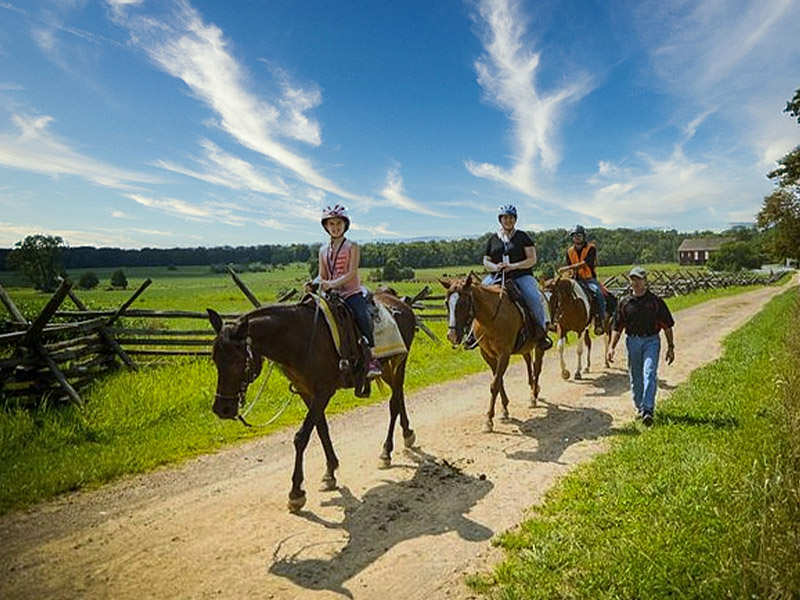 Confederate Trails of Gettysburg Guided Horseback Tours