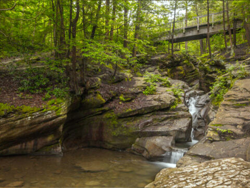 Seven Tubs Recreation Area - Audubon Loop Trail