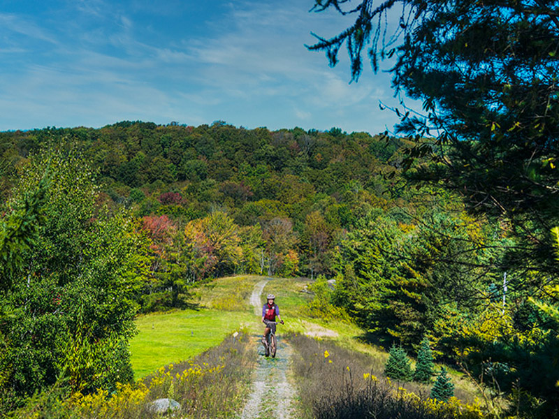 D&H Rail-Trail