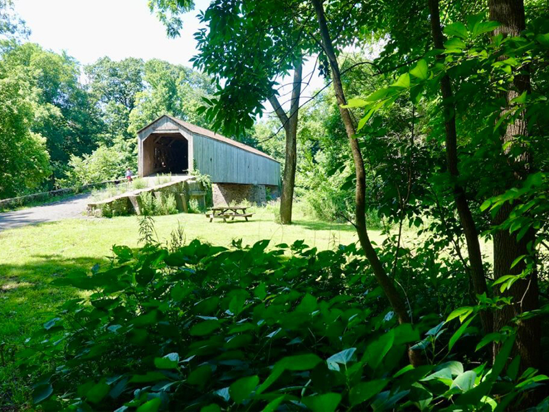 Tyler State Park Trail