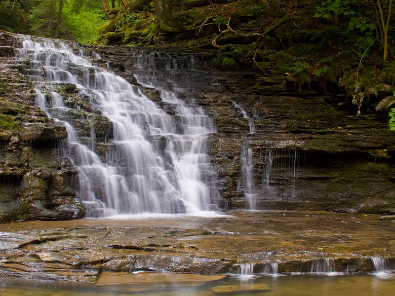 Salt Springs State Park