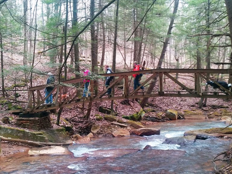 North Country Trail 