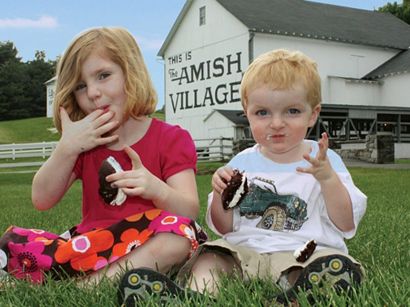 The Amish Village