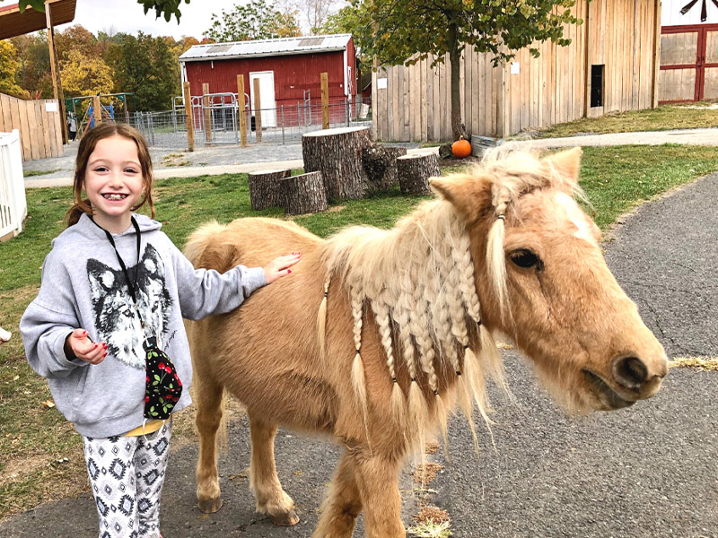 Land of Little Horses Performing Animal Theme Park