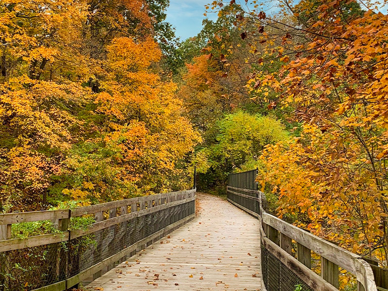 Montour Hike/Bike Trail