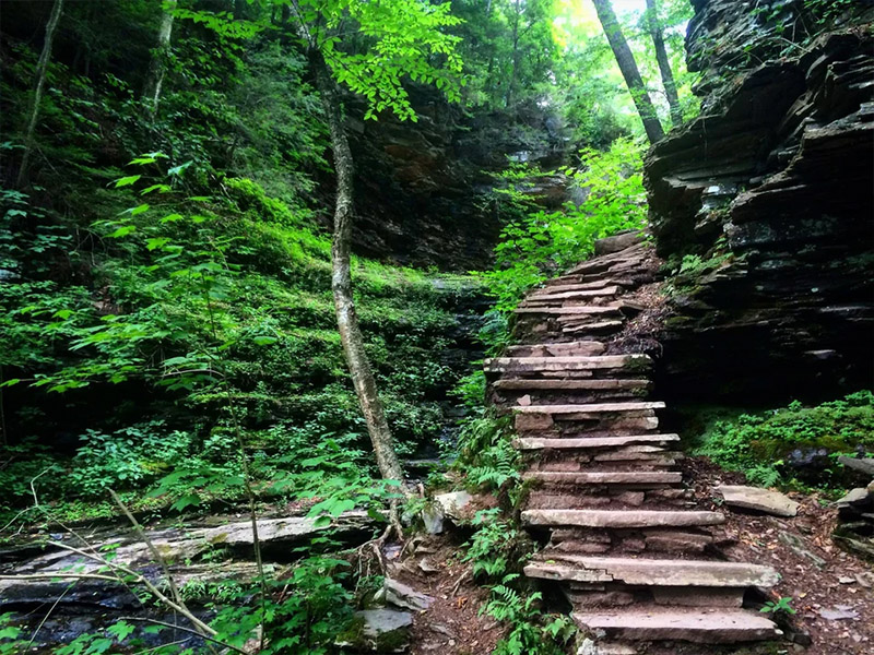 Ricketts Glen State Park - Ricketts Glen Falls Loop