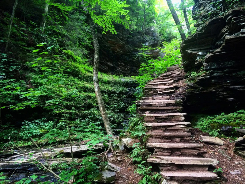 Ricketts Glen State Park - Ricketts Glen Falls Loop