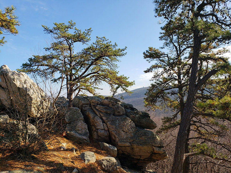 White Rocks Trail