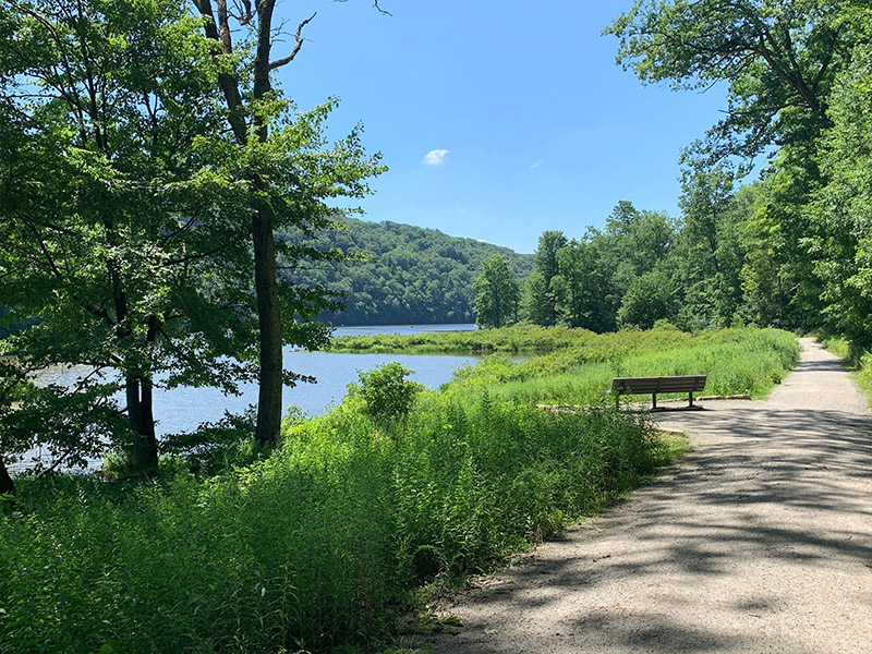 Laurel Hill State Park- Pump House Trail Loop