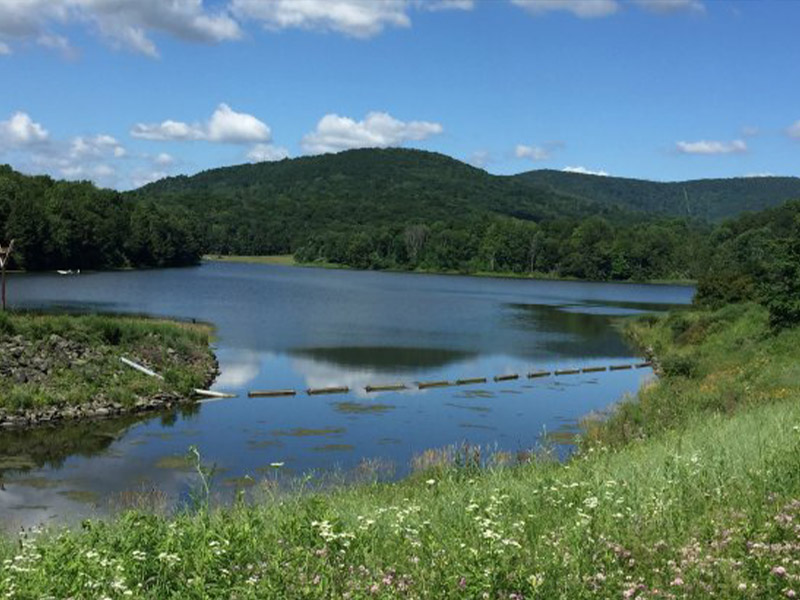 Mount Pisgah State Park - Oh! Susanna Trail