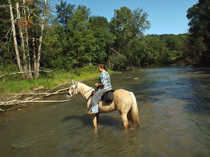 Crooked Creek Horse Park