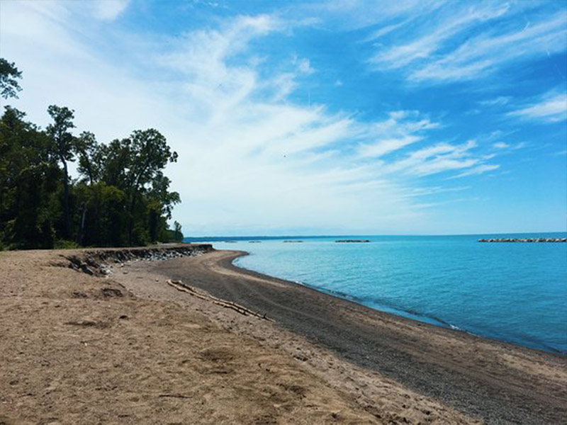 Gull Point Trail