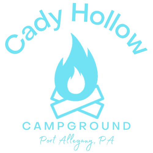 Cady Hollow Campground Logo