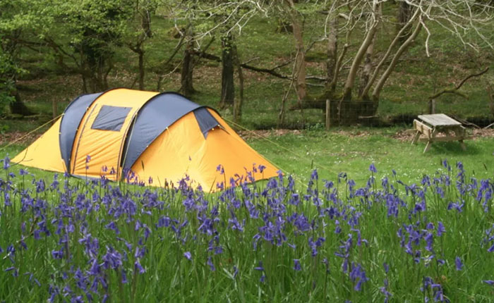 SPRING CAMPING TIPS