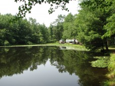 Laurel Lake Campsites Logo