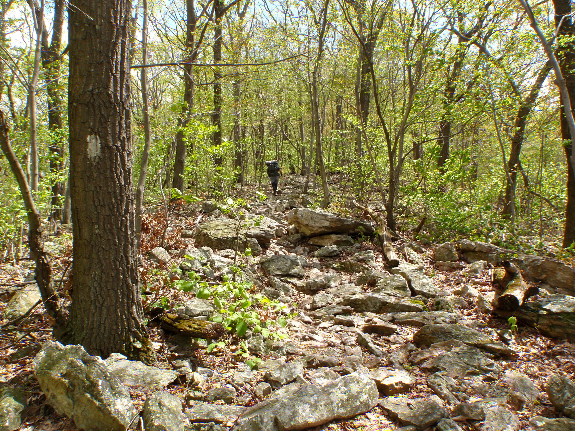 Appalachian Trail