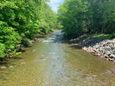 Grassmere Park Campground